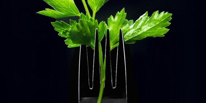 green plant in clear glass vase